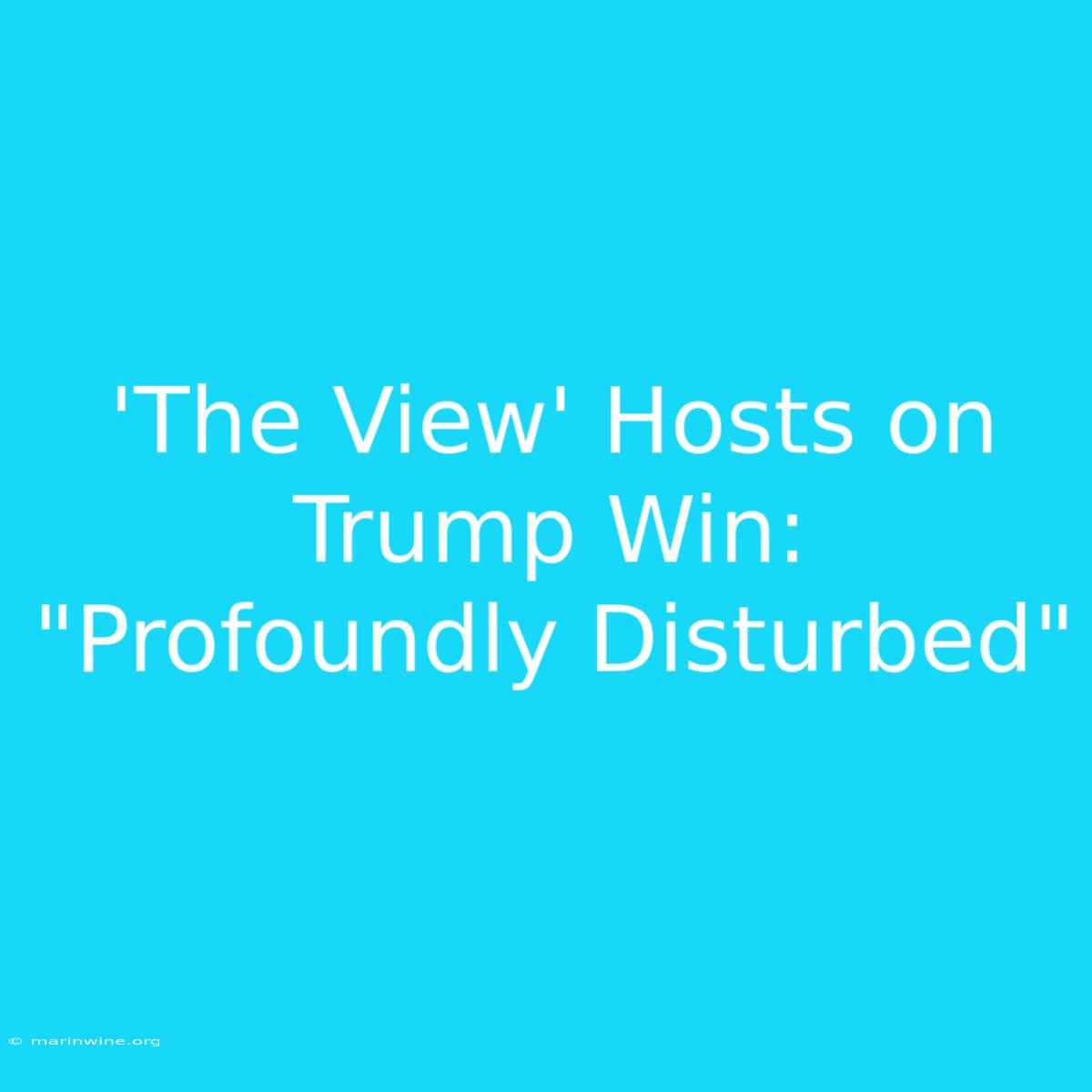 'The View' Hosts On Trump Win: 