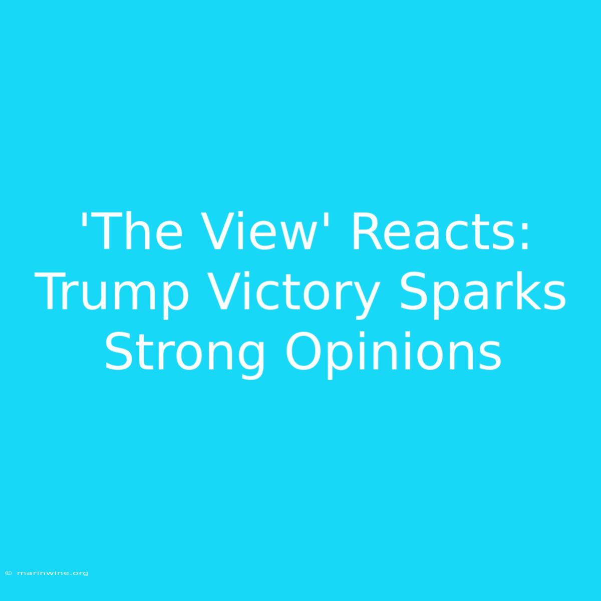 'The View' Reacts: Trump Victory Sparks Strong Opinions