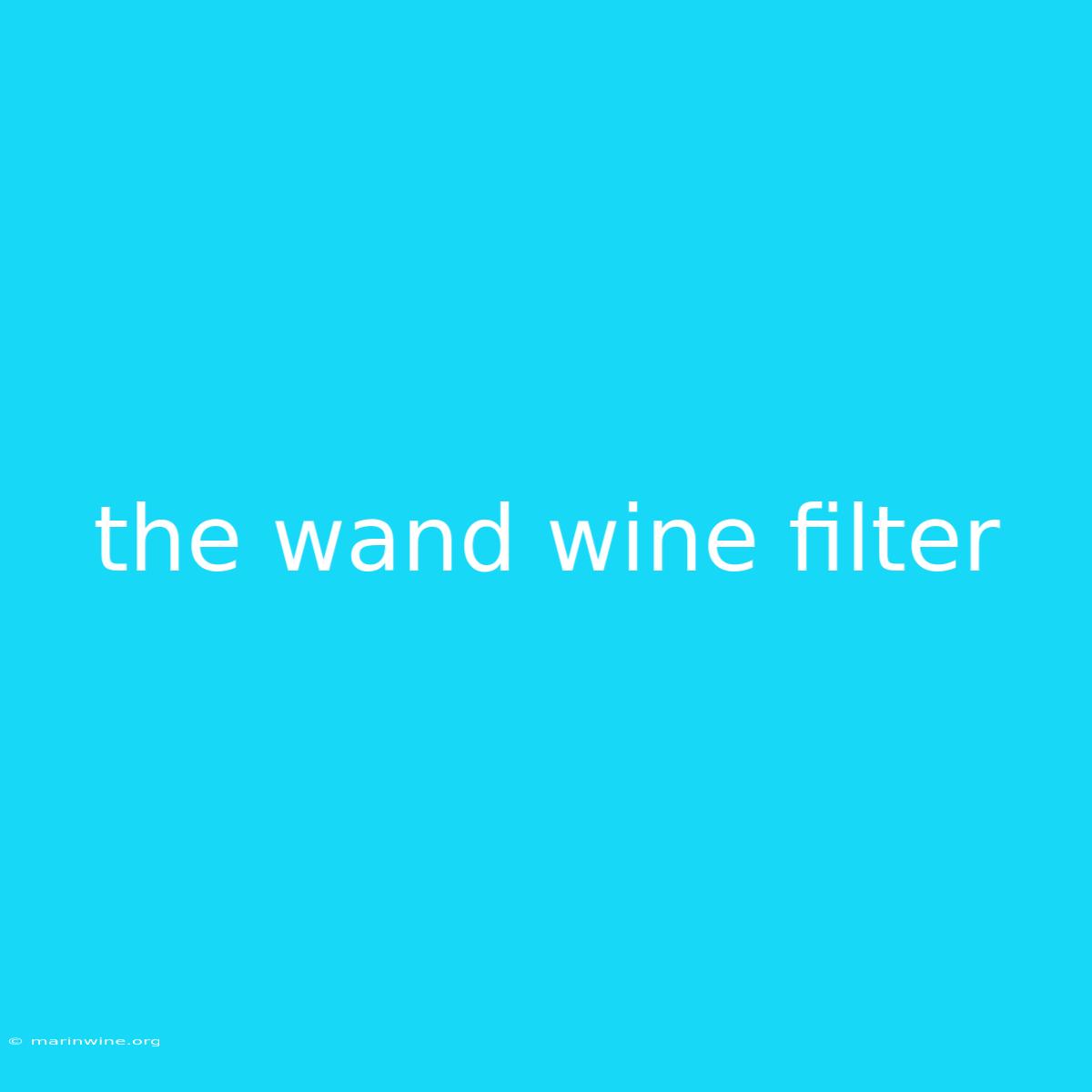 The Wand Wine Filter