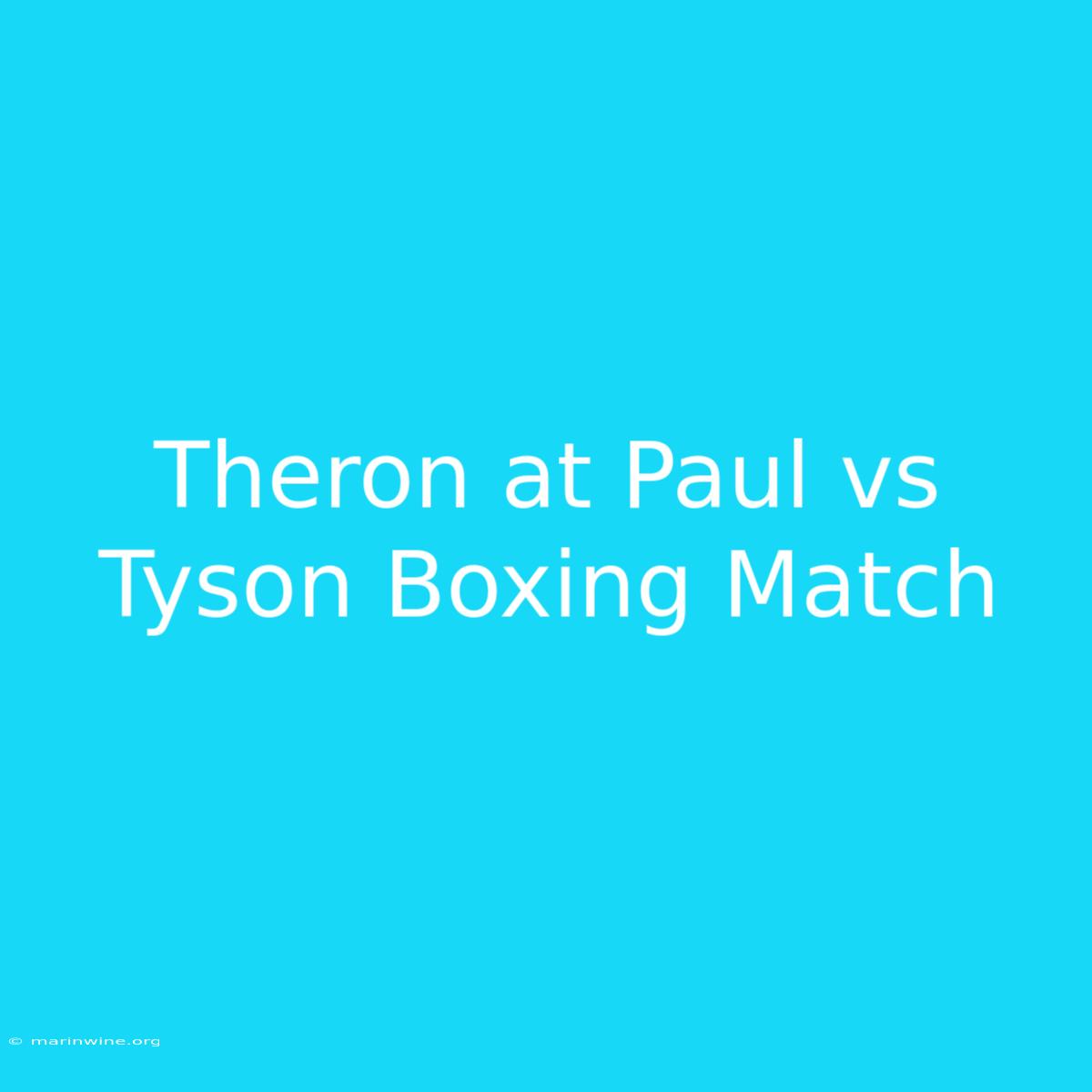 Theron At Paul Vs Tyson Boxing Match