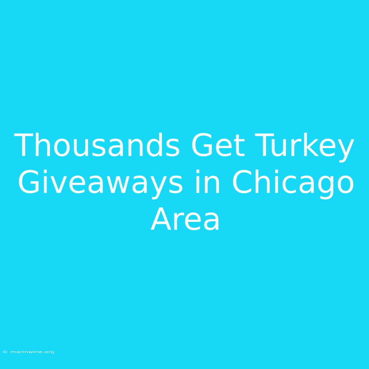 Thousands Get Turkey Giveaways In Chicago Area