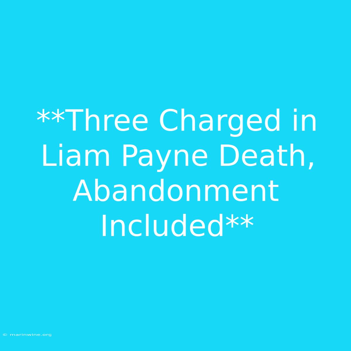 **Three Charged In Liam Payne Death, Abandonment Included** 