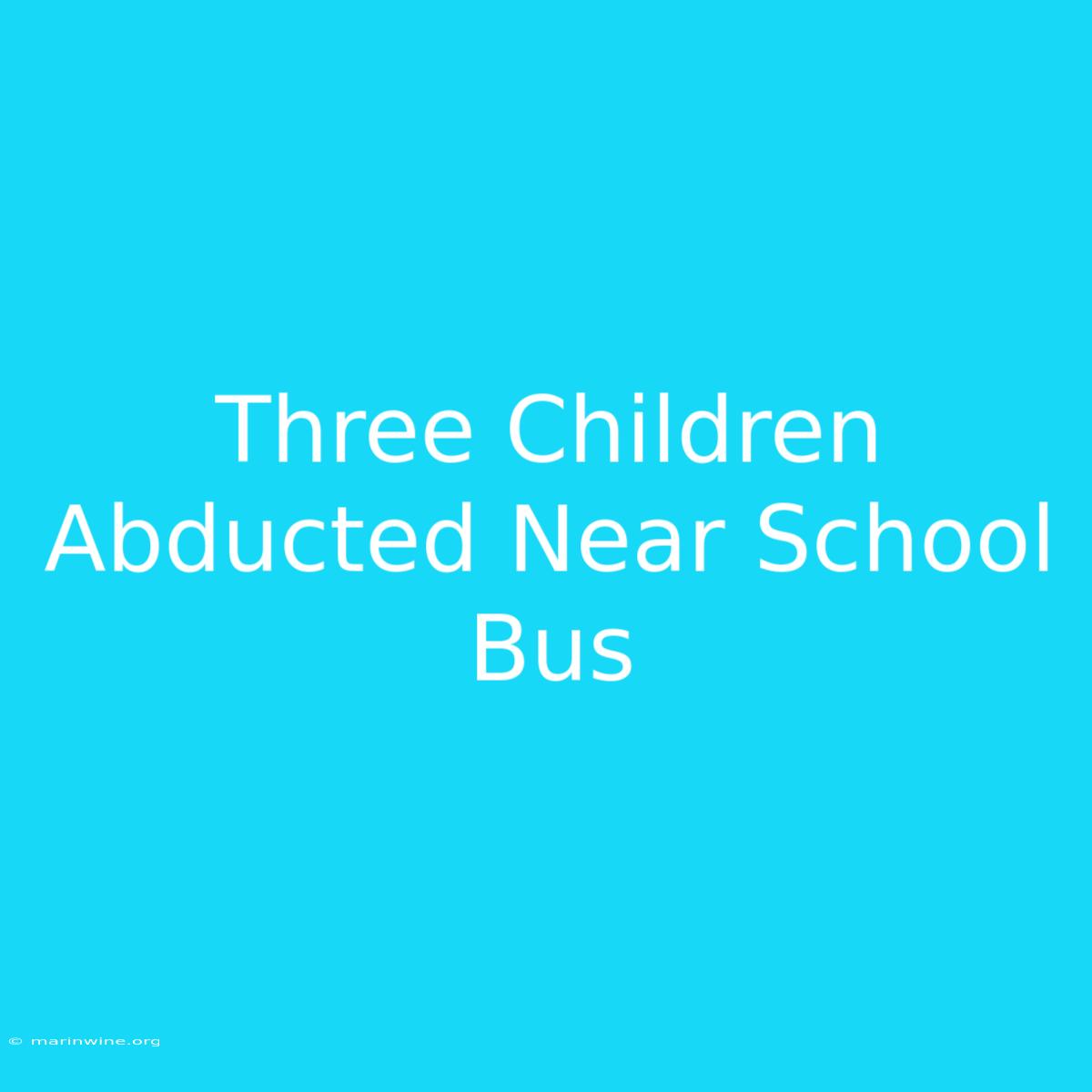 Three Children Abducted Near School Bus