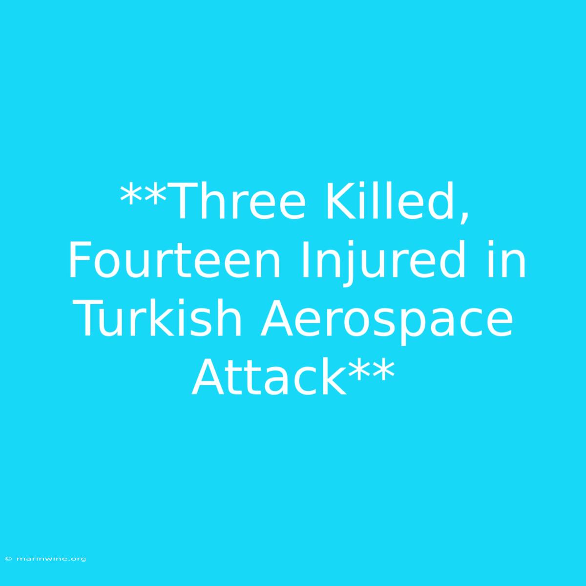 **Three Killed, Fourteen Injured In Turkish Aerospace Attack** 