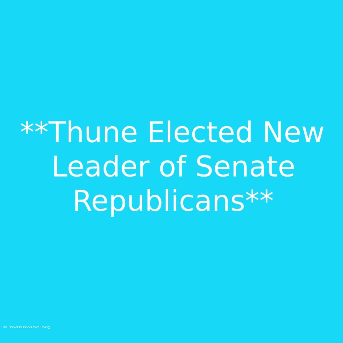 **Thune Elected New Leader Of Senate Republicans** 