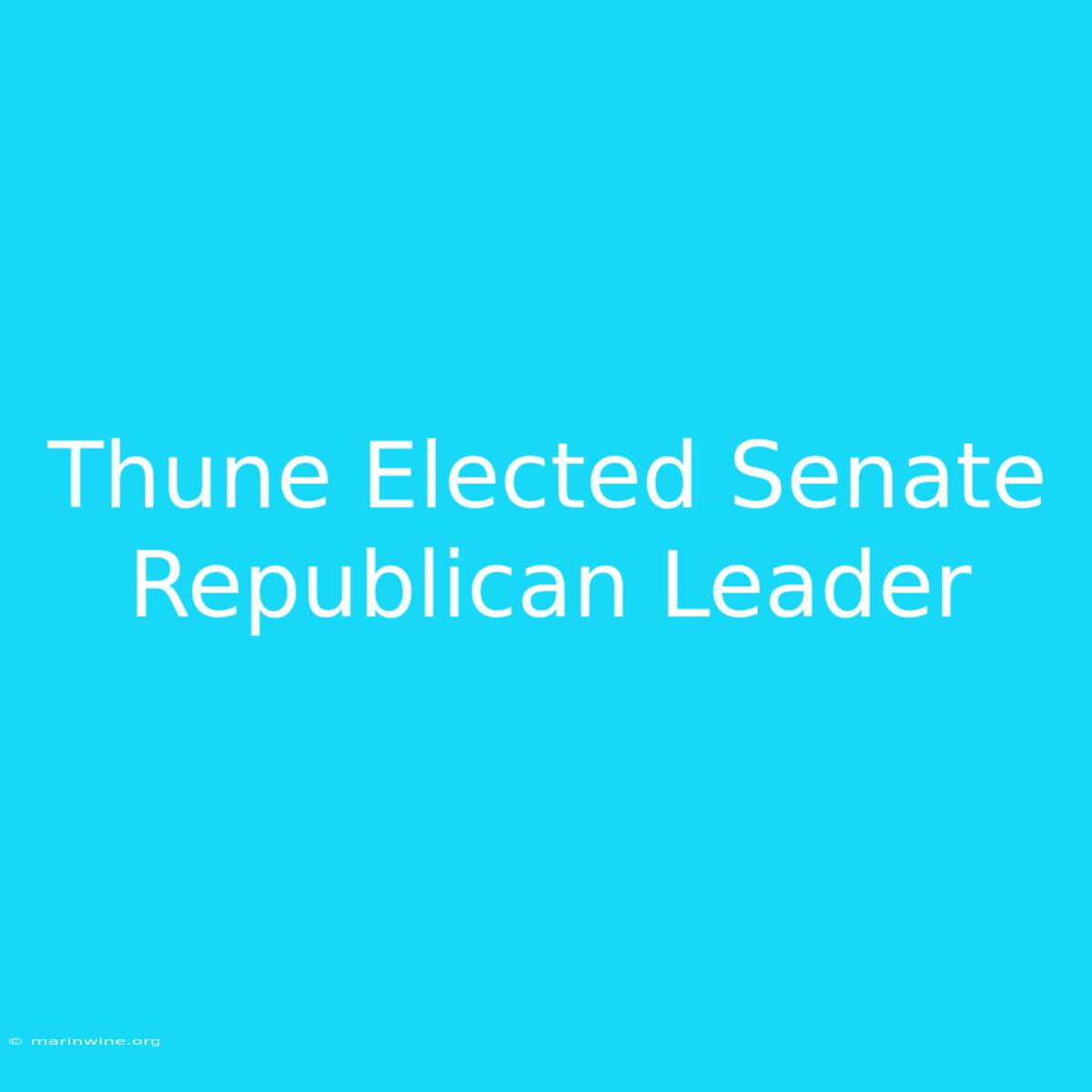 Thune Elected Senate Republican Leader