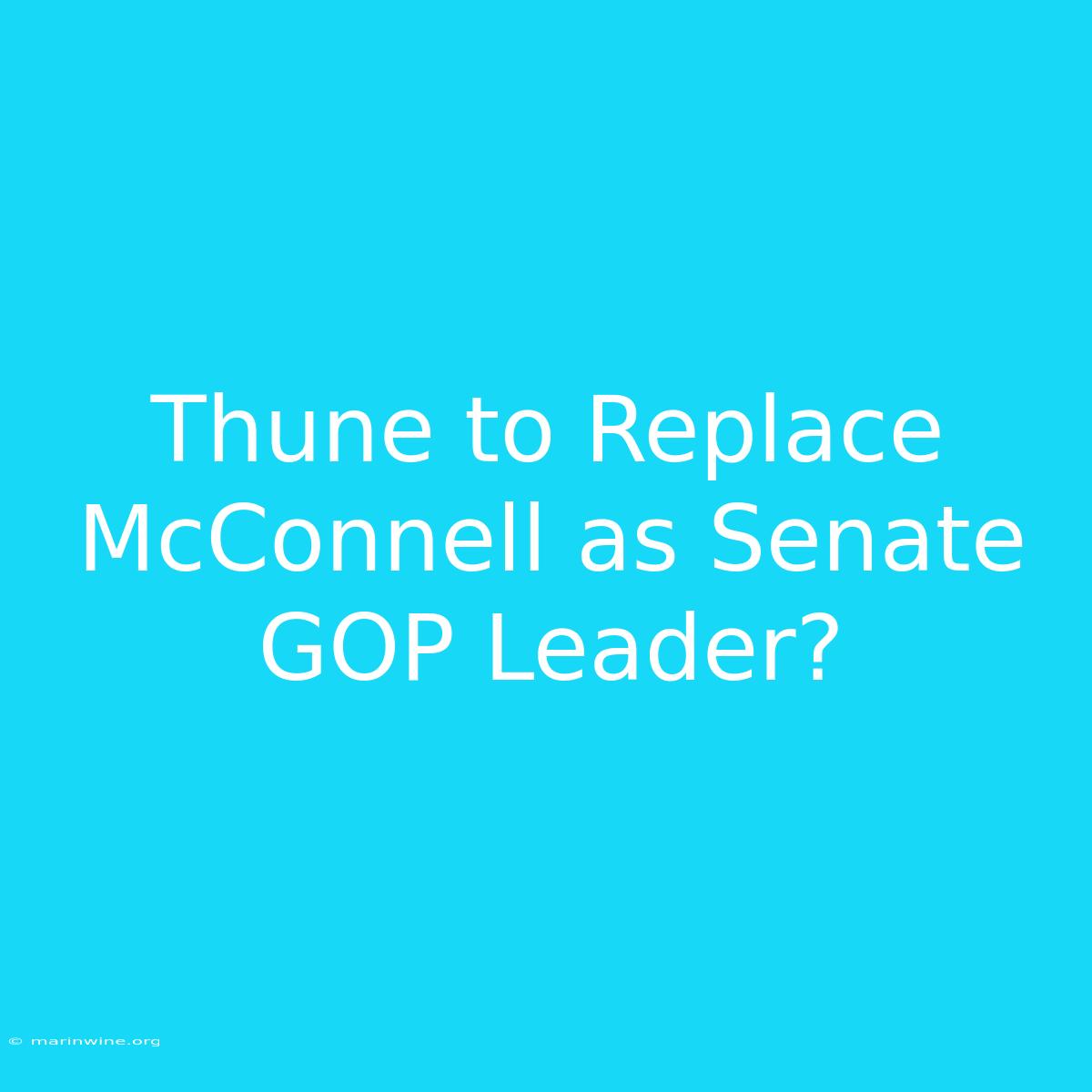 Thune To Replace McConnell As Senate GOP Leader?