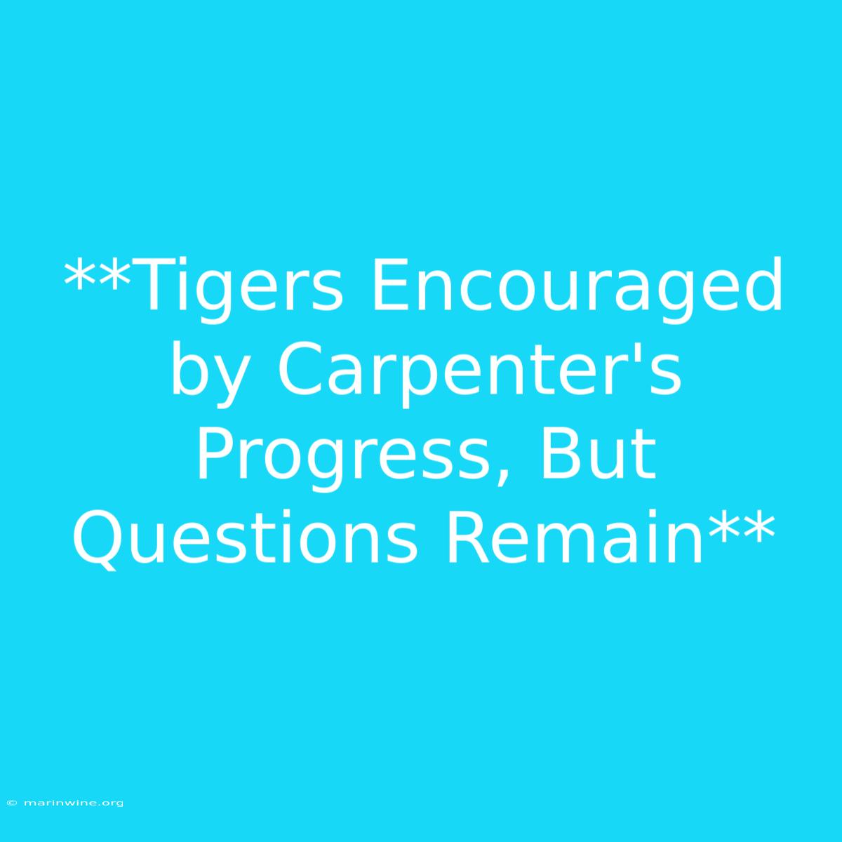 **Tigers Encouraged By Carpenter's Progress, But Questions Remain**