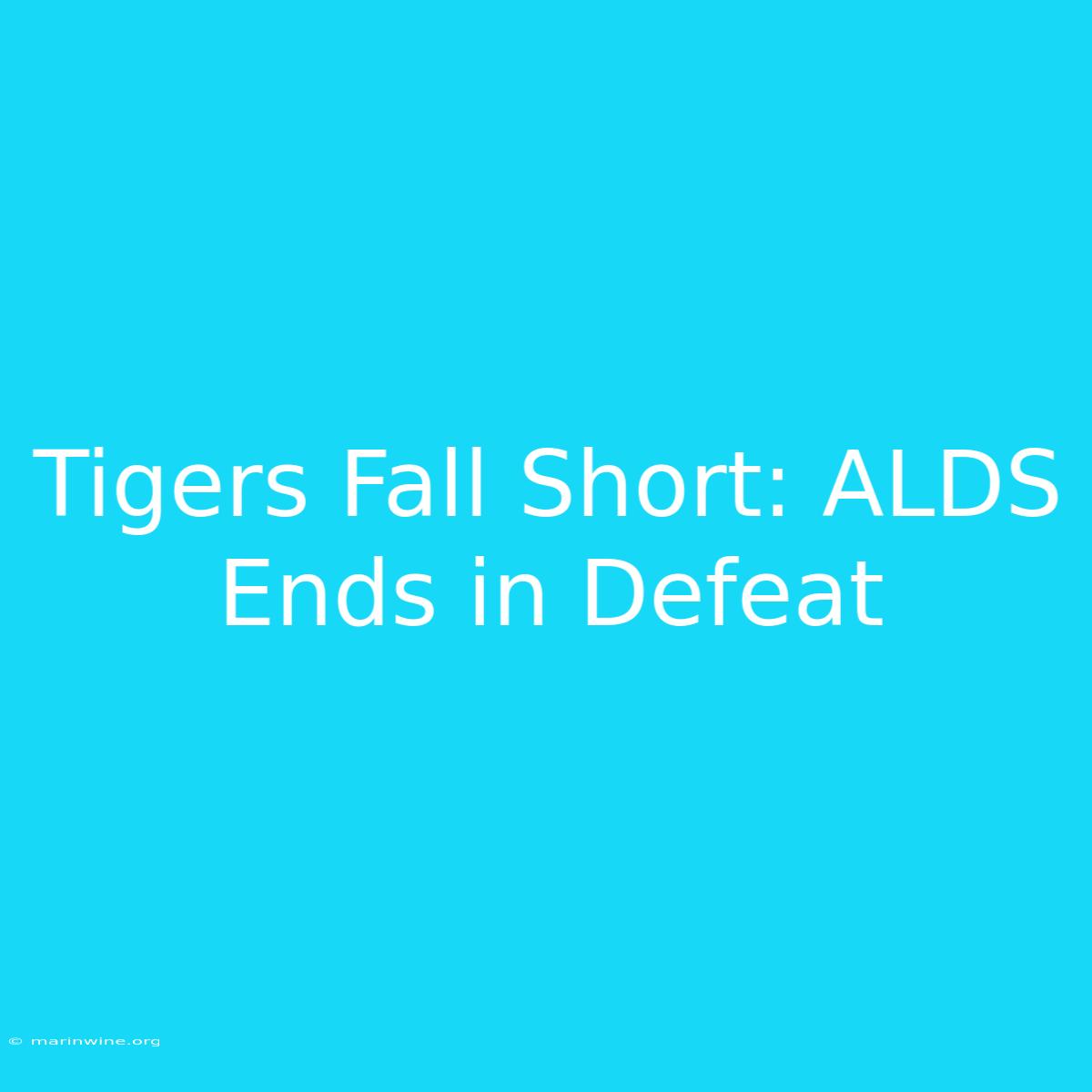 Tigers Fall Short: ALDS Ends In Defeat