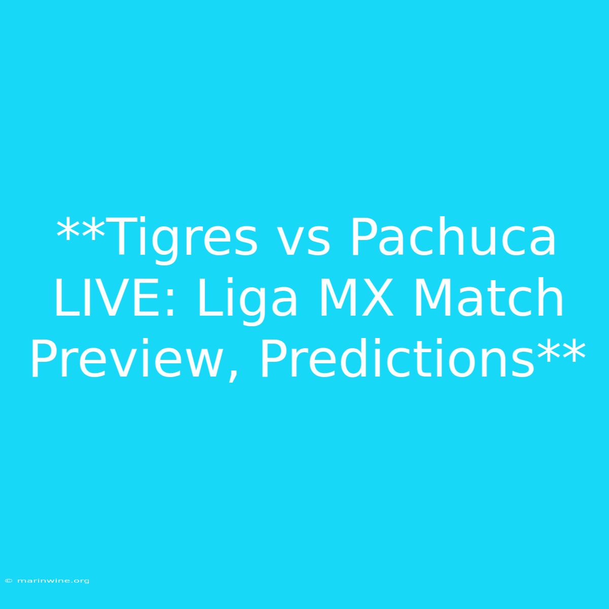 **Tigres Vs Pachuca LIVE: Liga MX Match Preview, Predictions**