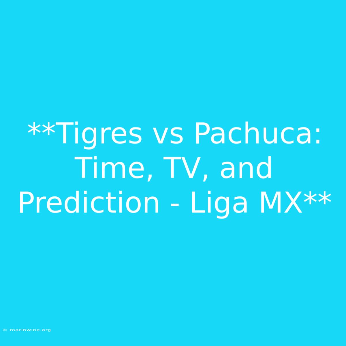 **Tigres Vs Pachuca: Time, TV, And Prediction - Liga MX**