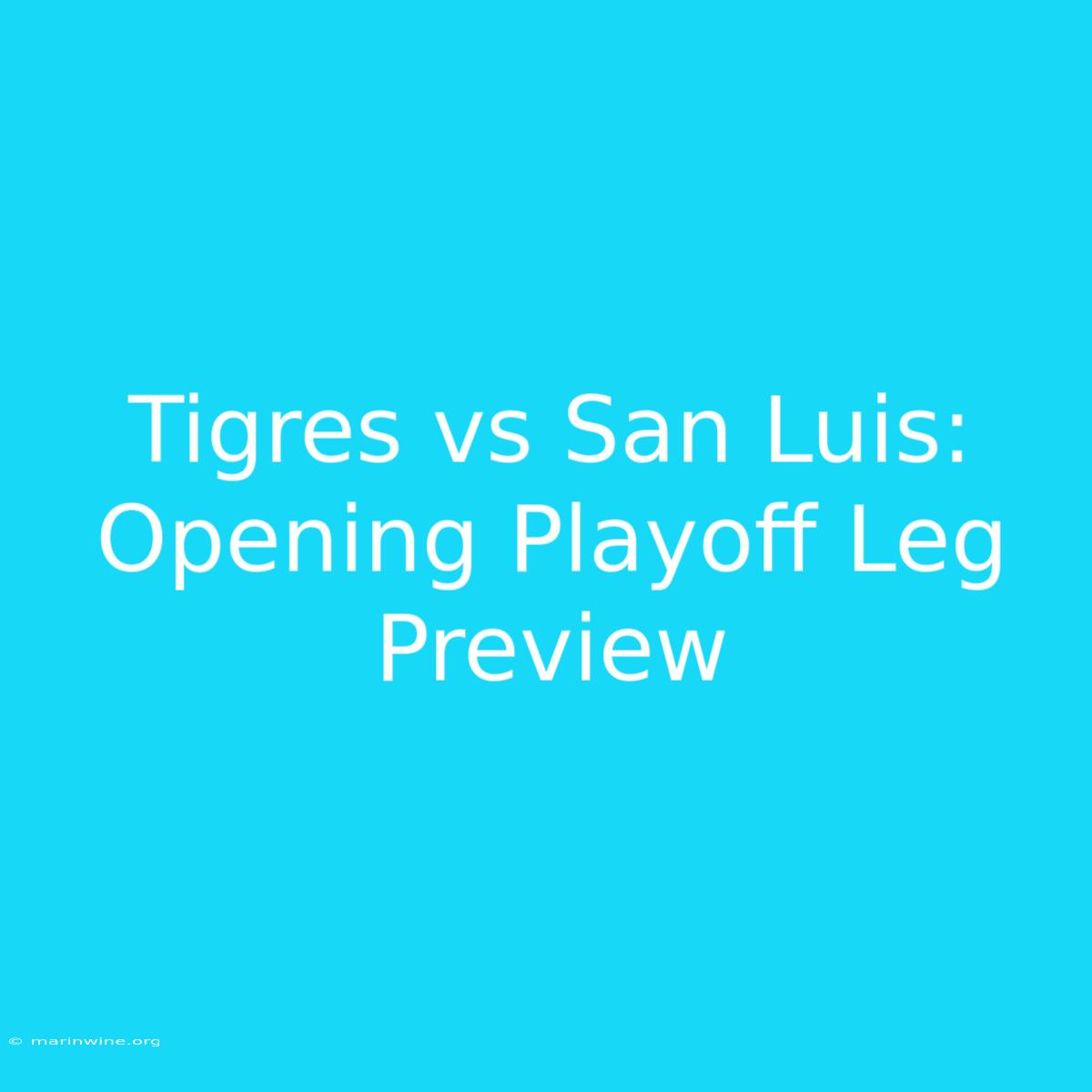 Tigres Vs San Luis: Opening Playoff Leg Preview