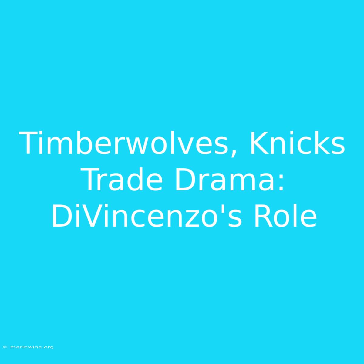 Timberwolves, Knicks Trade Drama: DiVincenzo's Role