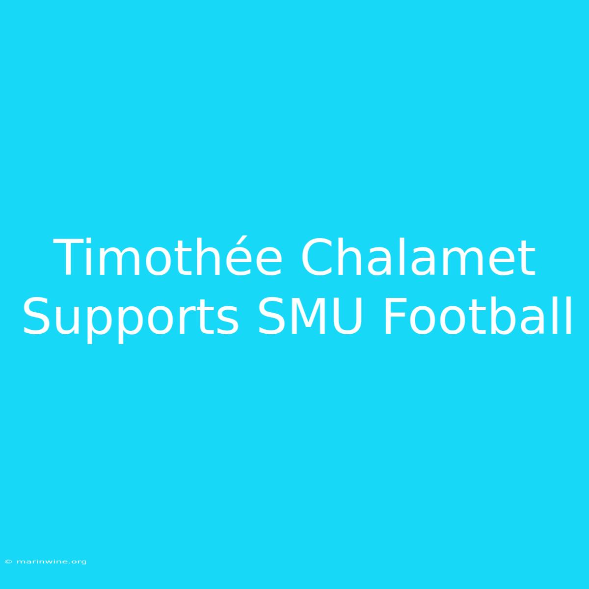 Timothée Chalamet Supports SMU Football