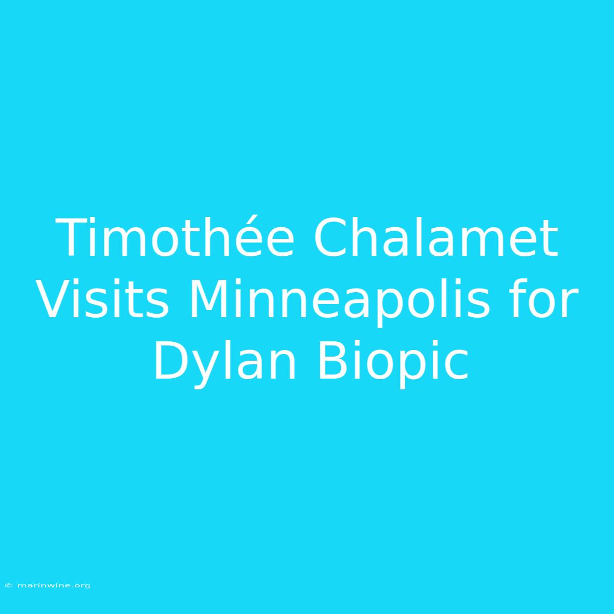 Timothée Chalamet Visits Minneapolis For Dylan Biopic