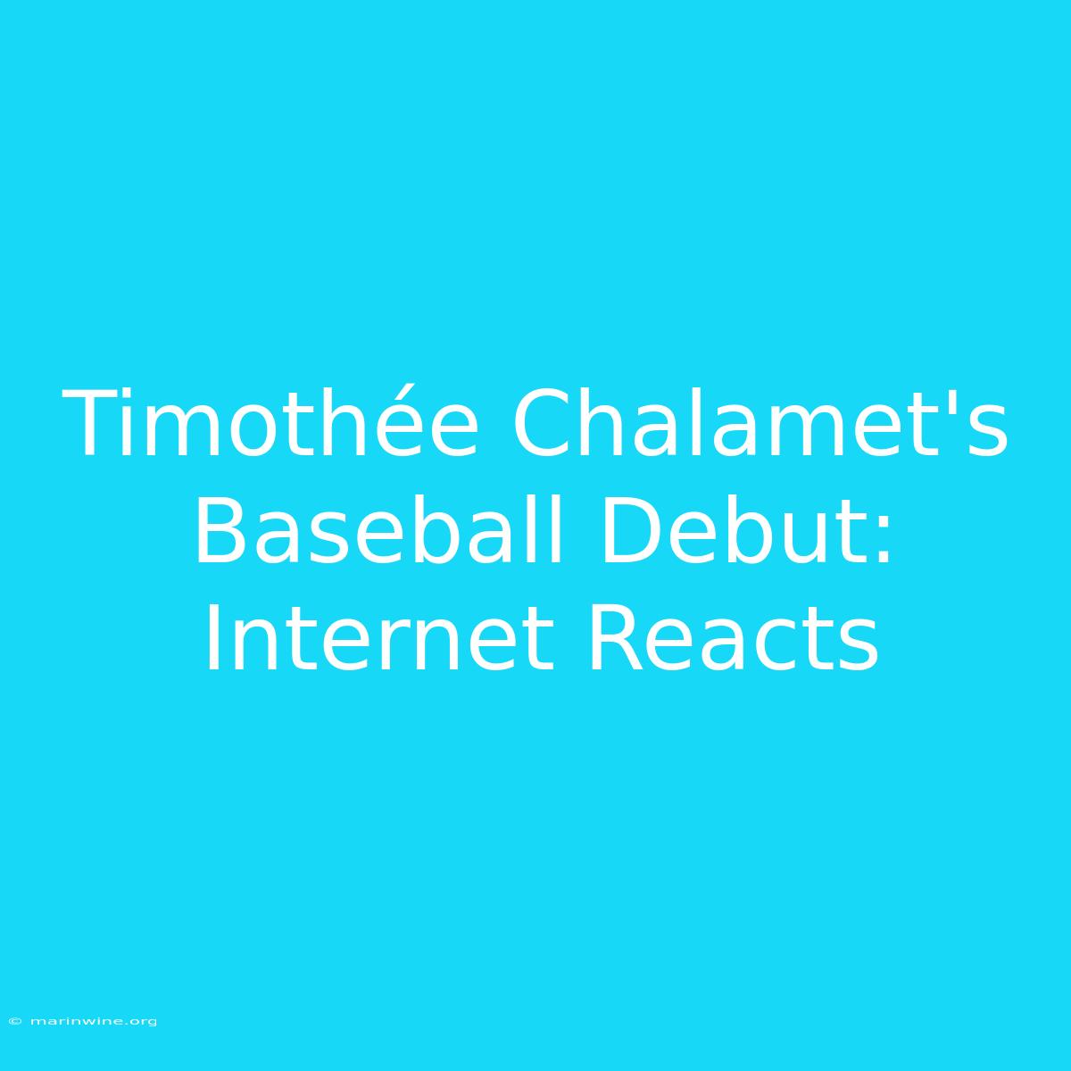 Timothée Chalamet's Baseball Debut: Internet Reacts