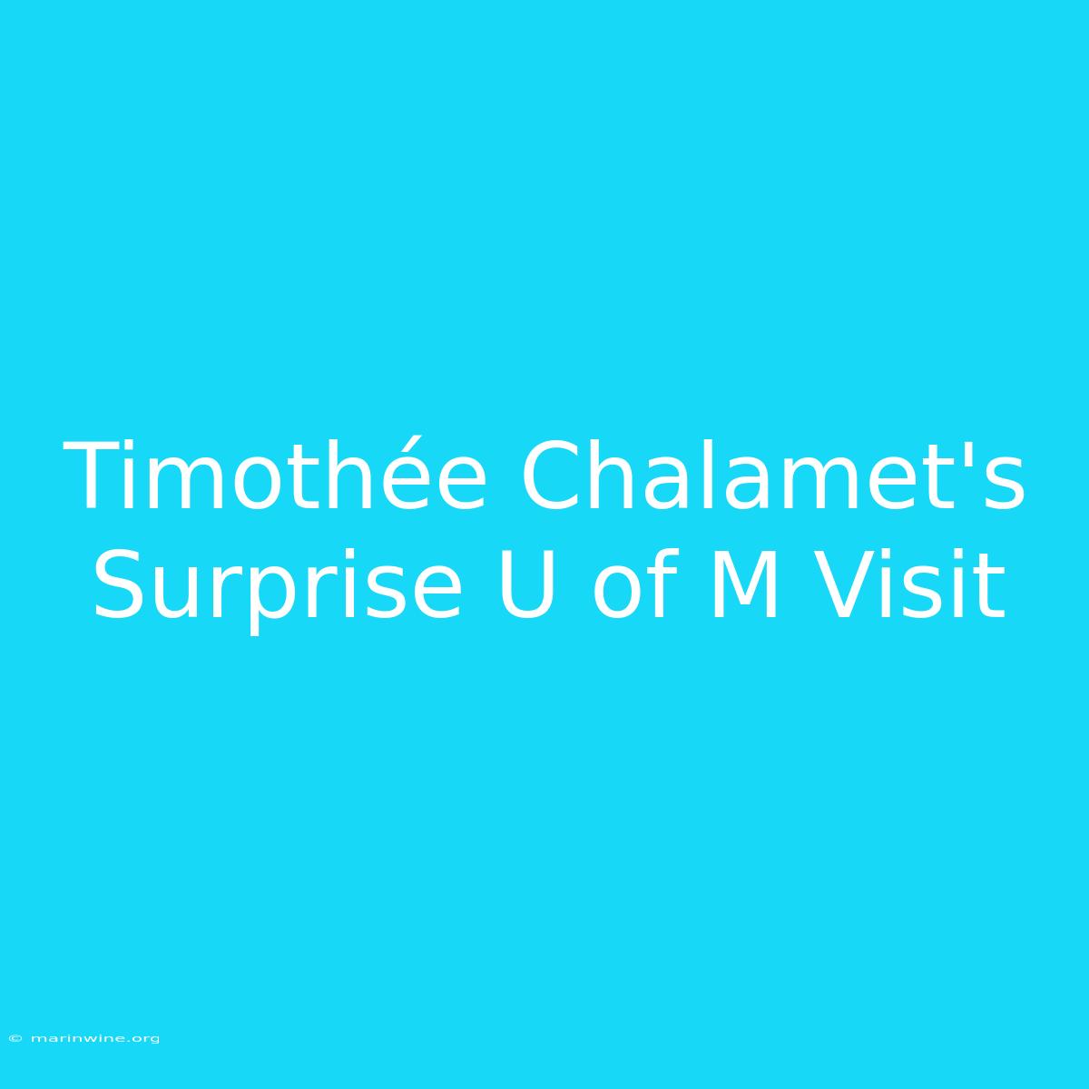 Timothée Chalamet's Surprise U Of M Visit