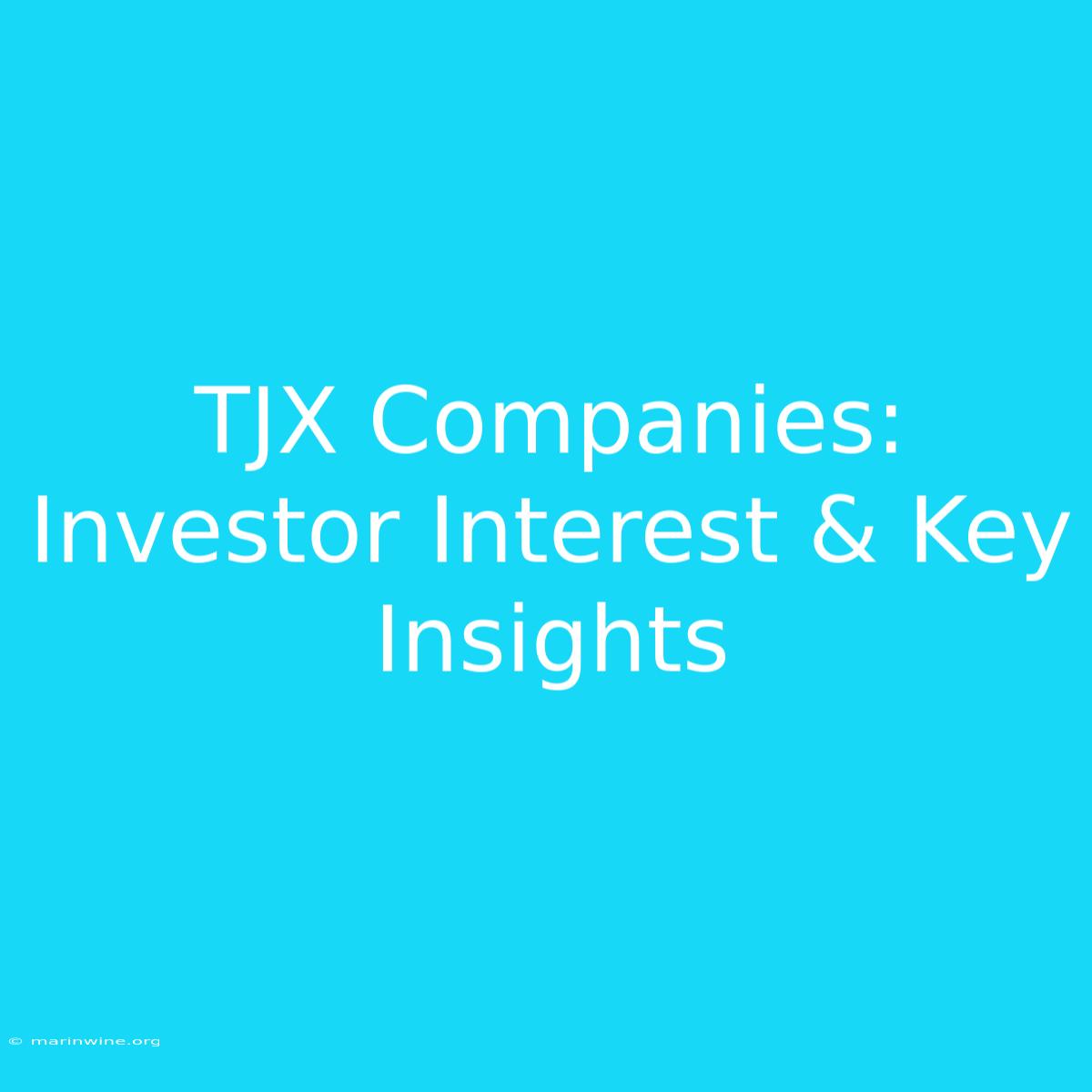 TJX Companies: Investor Interest & Key Insights