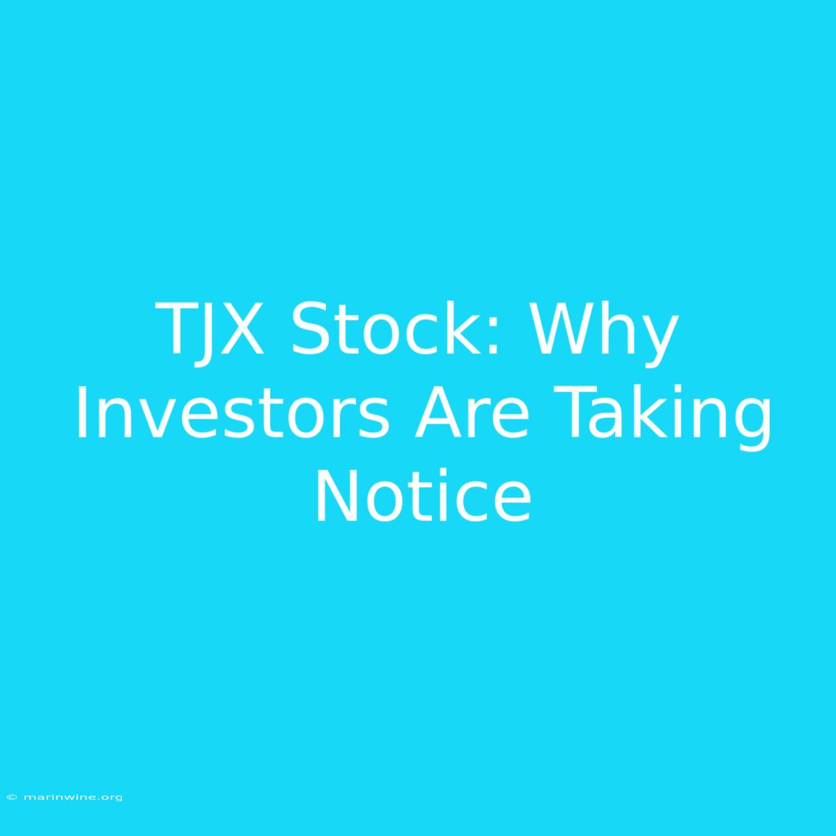 TJX Stock: Why Investors Are Taking Notice