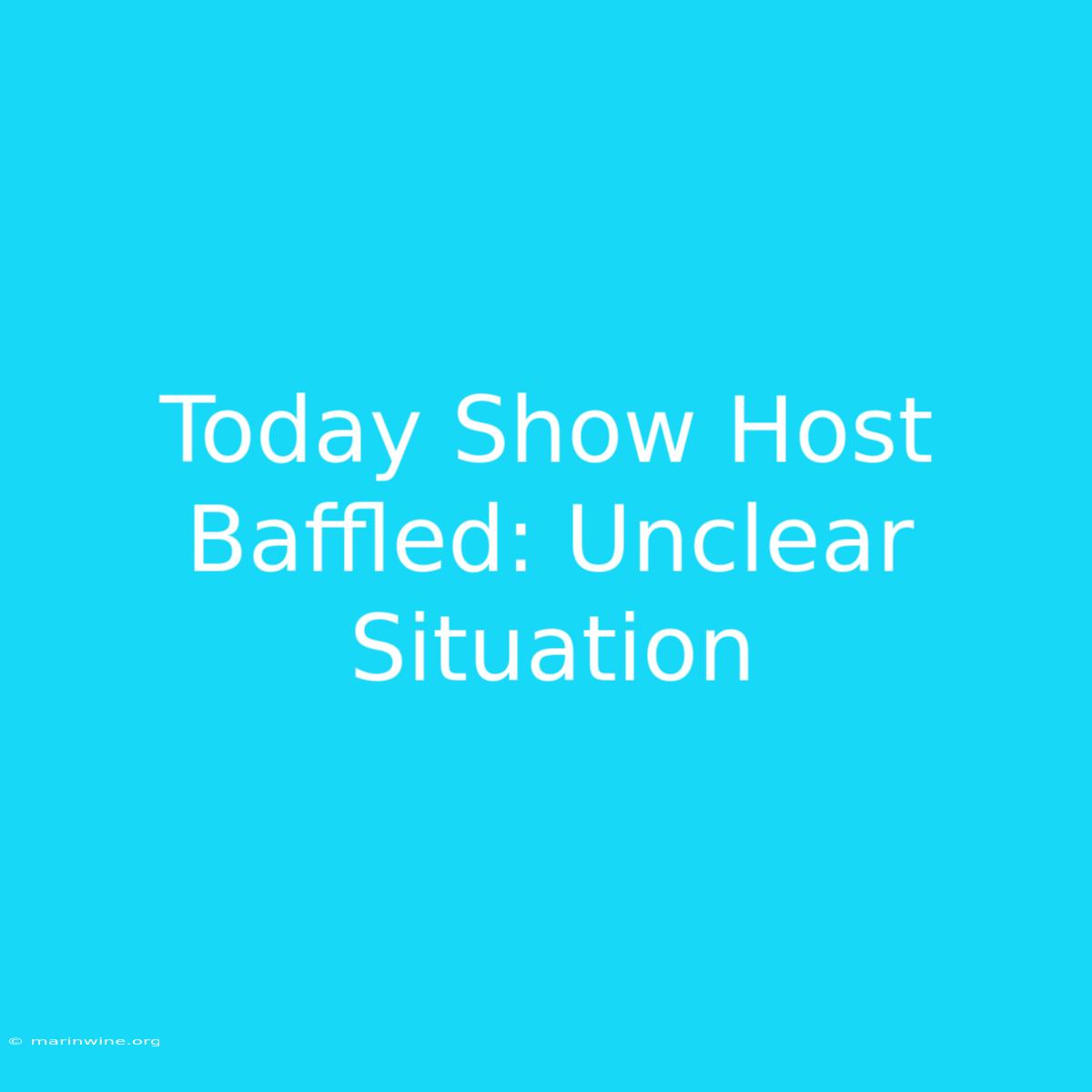 Today Show Host Baffled: Unclear Situation