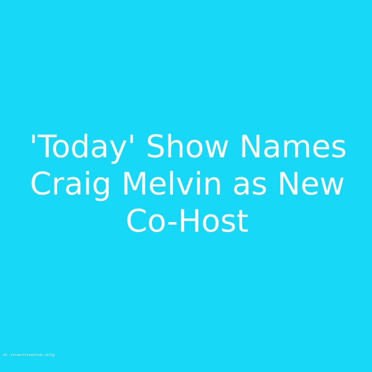 'Today' Show Names Craig Melvin As New Co-Host