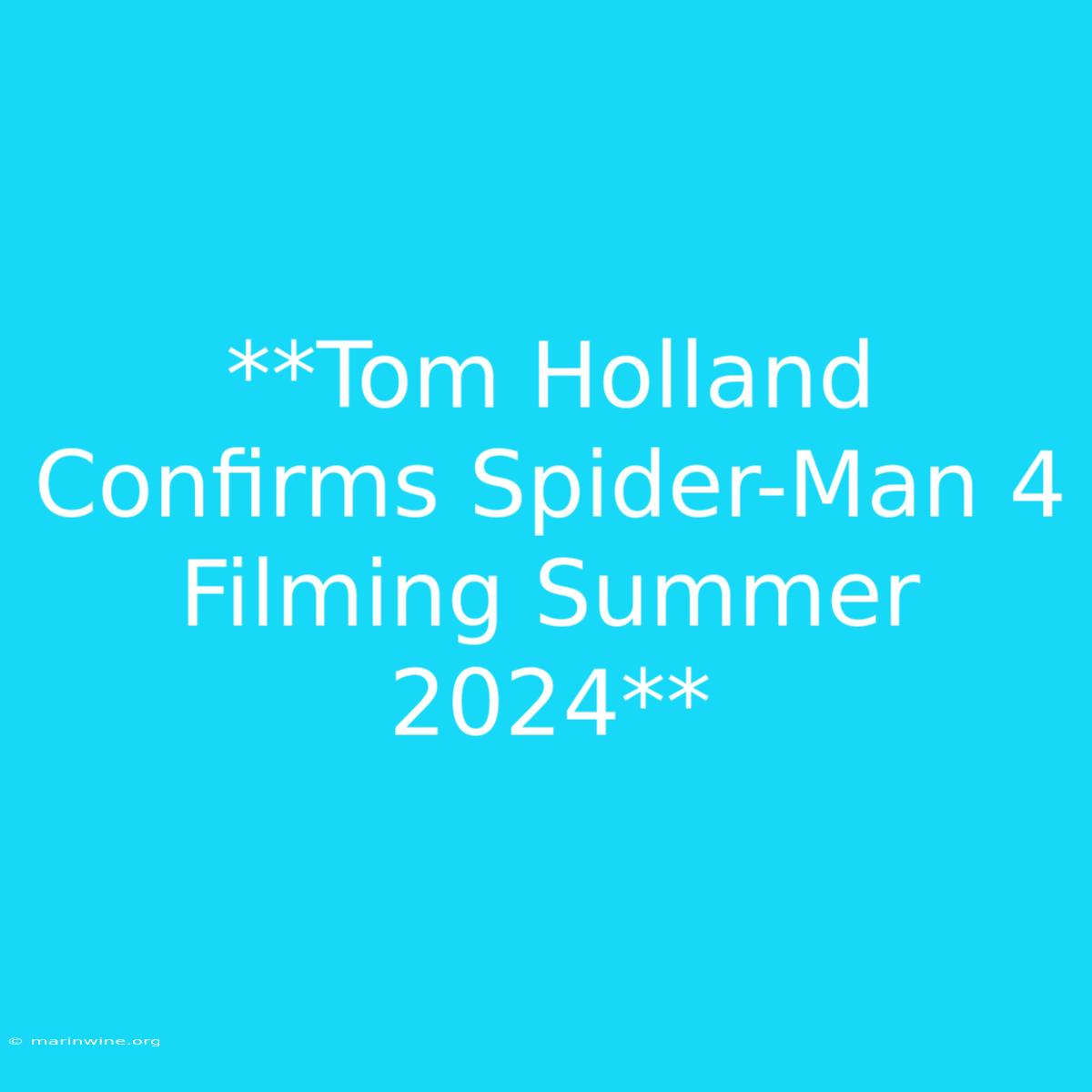 **Tom Holland Confirms Spider-Man 4 Filming Summer 2024**