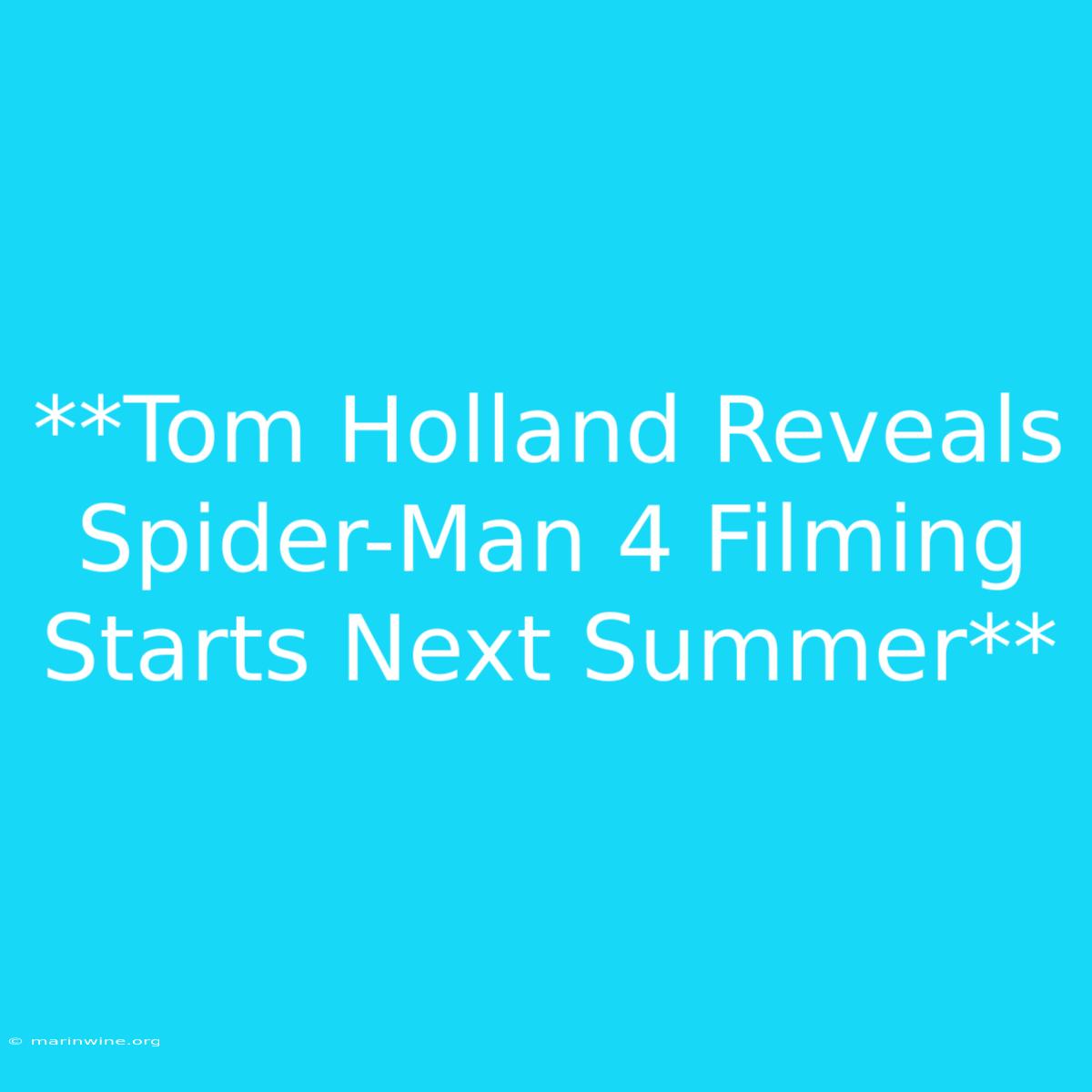 **Tom Holland Reveals Spider-Man 4 Filming Starts Next Summer**