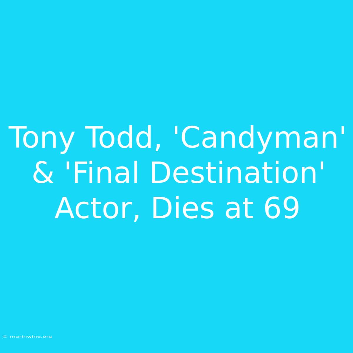 Tony Todd, 'Candyman' & 'Final Destination' Actor, Dies At 69