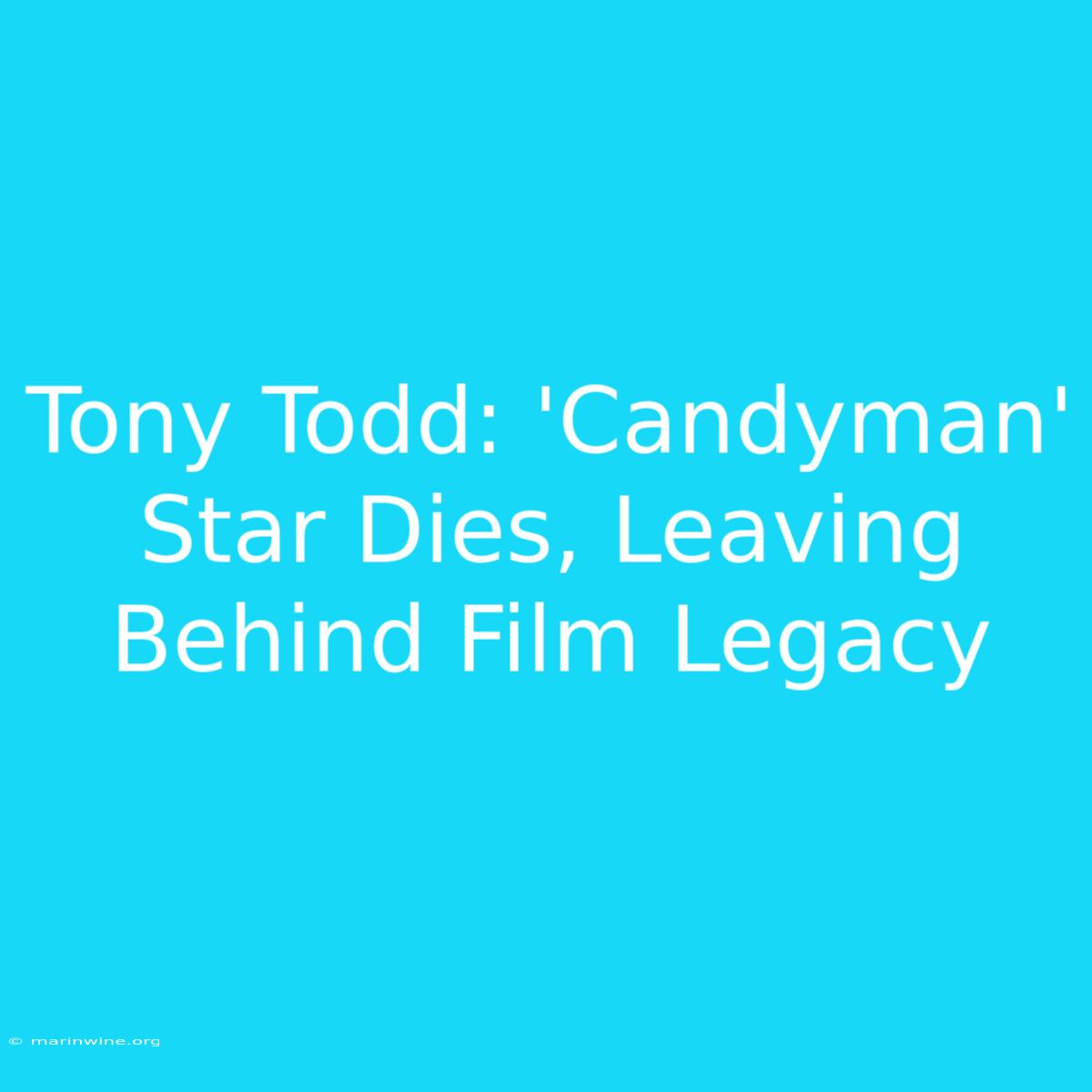 Tony Todd: 'Candyman' Star Dies, Leaving Behind Film Legacy 