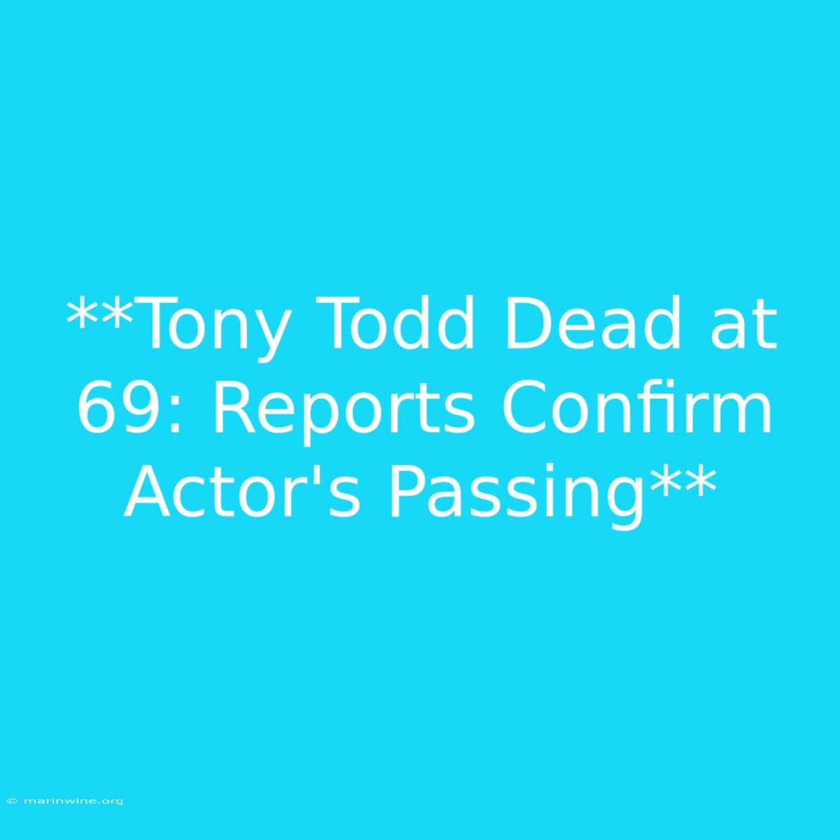 **Tony Todd Dead At 69: Reports Confirm Actor's Passing** 