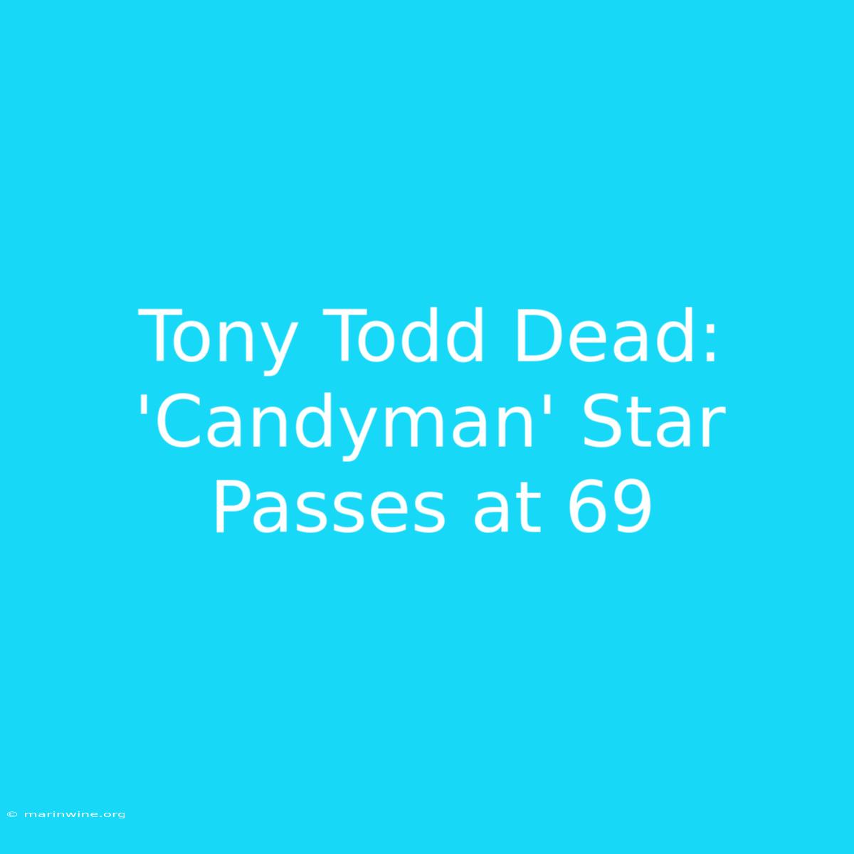 Tony Todd Dead: 'Candyman' Star Passes At 69