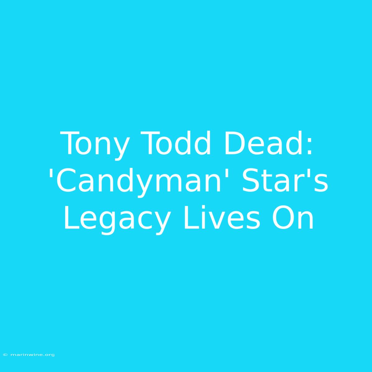 Tony Todd Dead: 'Candyman' Star's Legacy Lives On