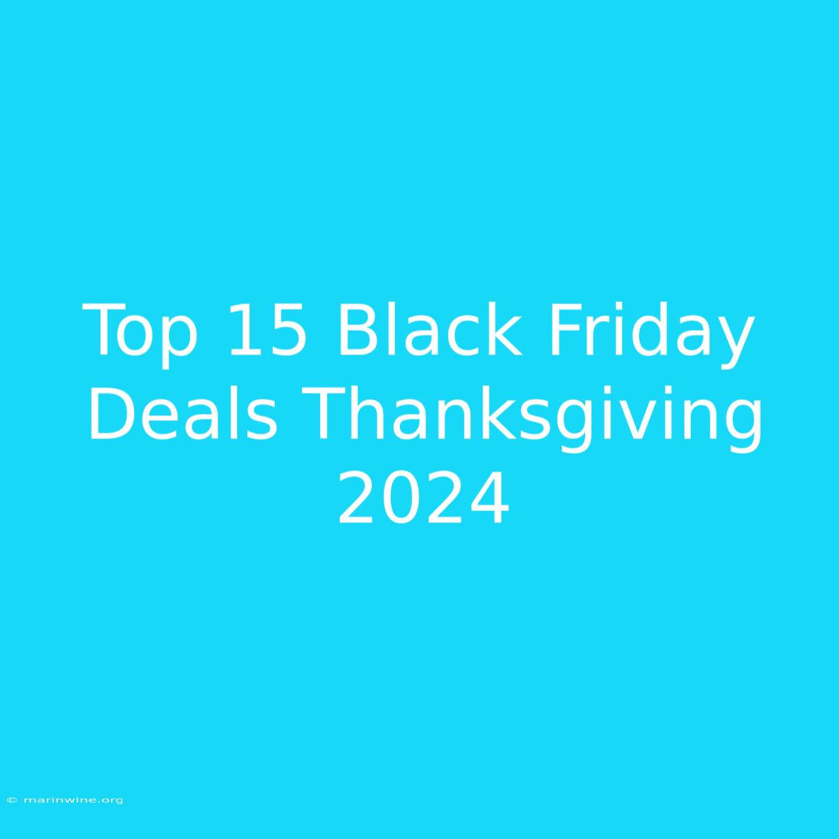 Top 15 Black Friday Deals Thanksgiving 2024