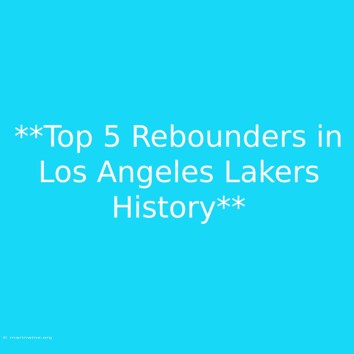 **Top 5 Rebounders In Los Angeles Lakers History** 