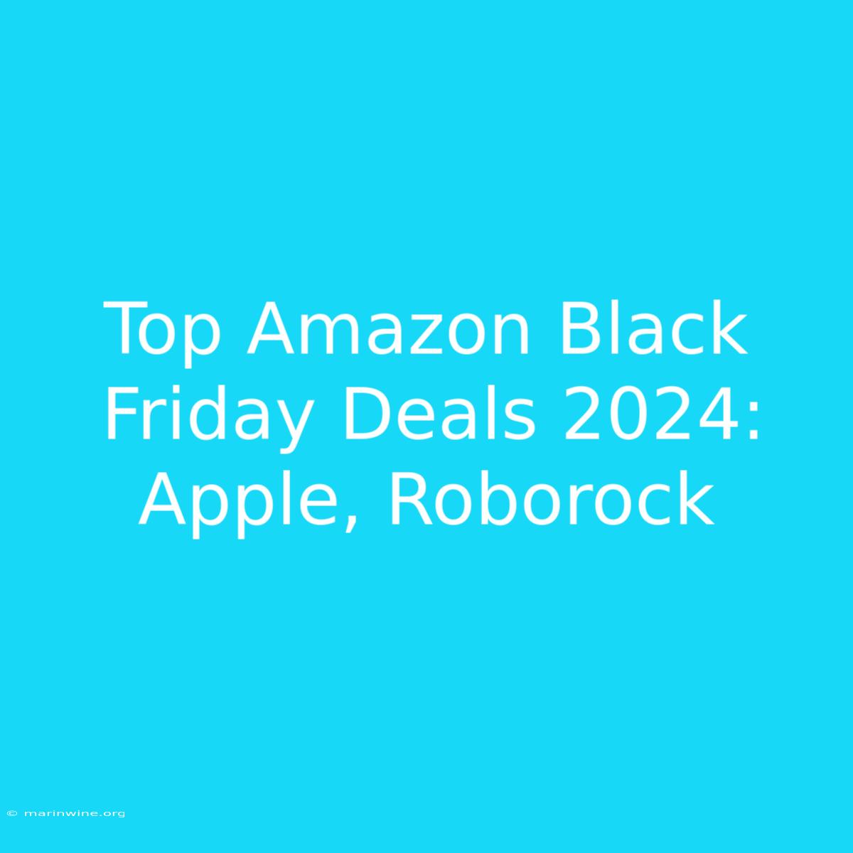 Top Amazon Black Friday Deals 2024: Apple, Roborock