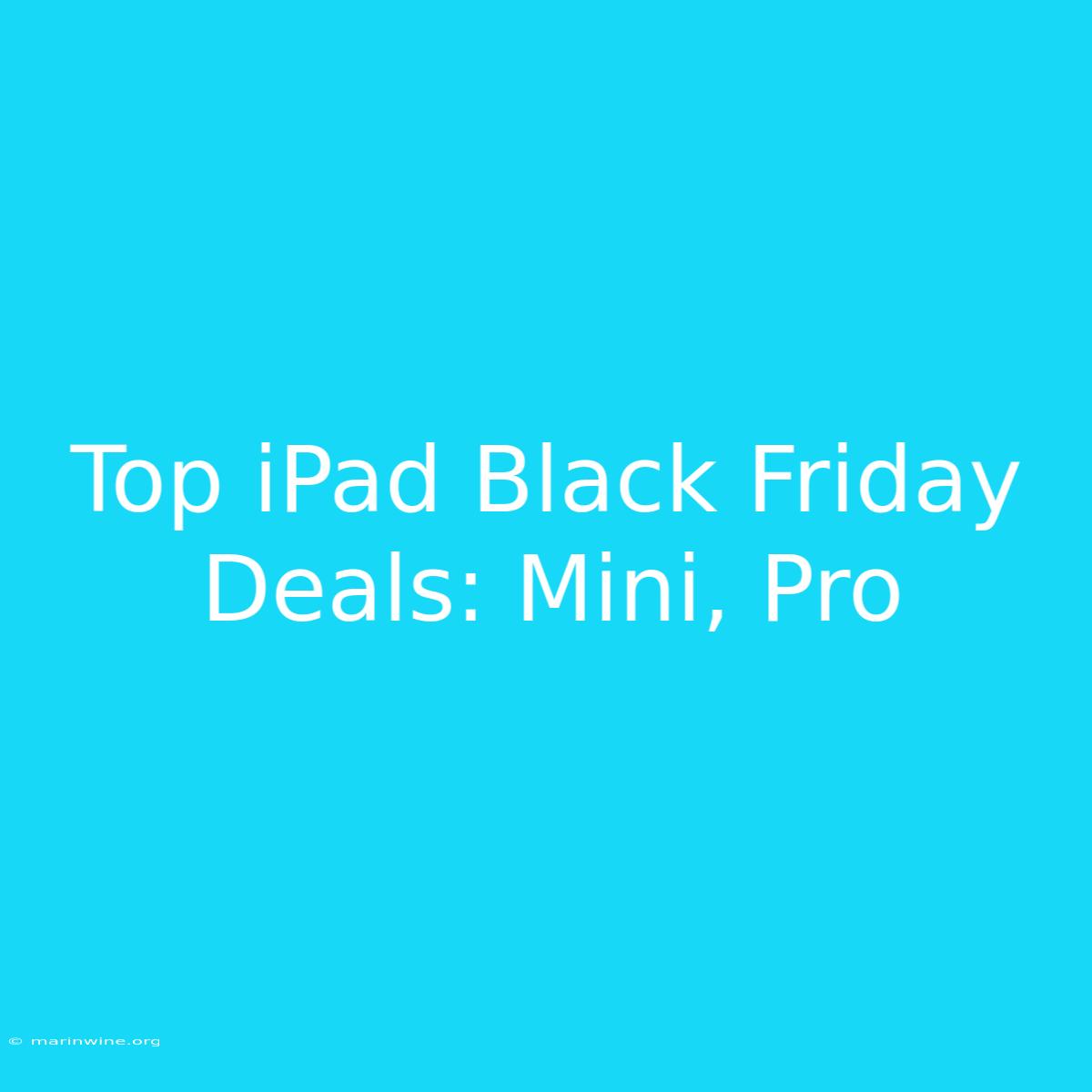 Top IPad Black Friday Deals: Mini, Pro