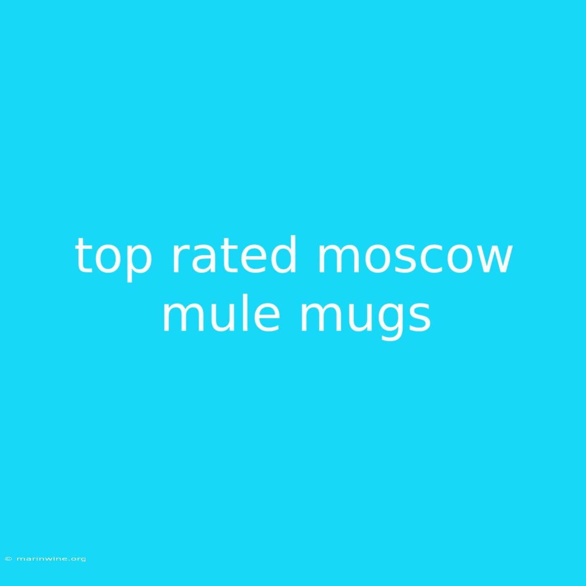 Top Rated Moscow Mule Mugs