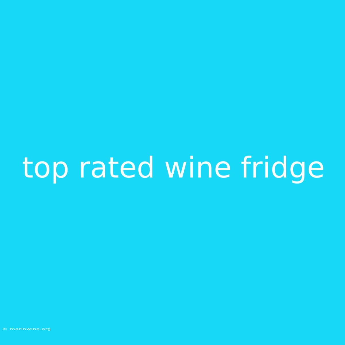 Top Rated Wine Fridge