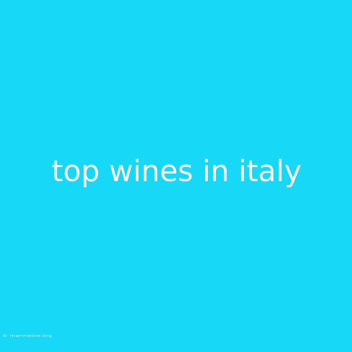 Top Wines In Italy