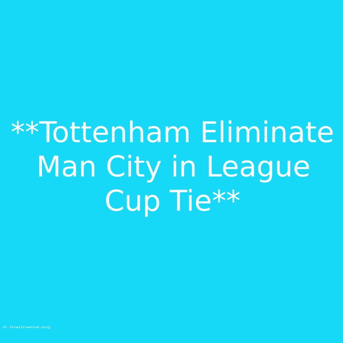 **Tottenham Eliminate Man City In League Cup Tie** 