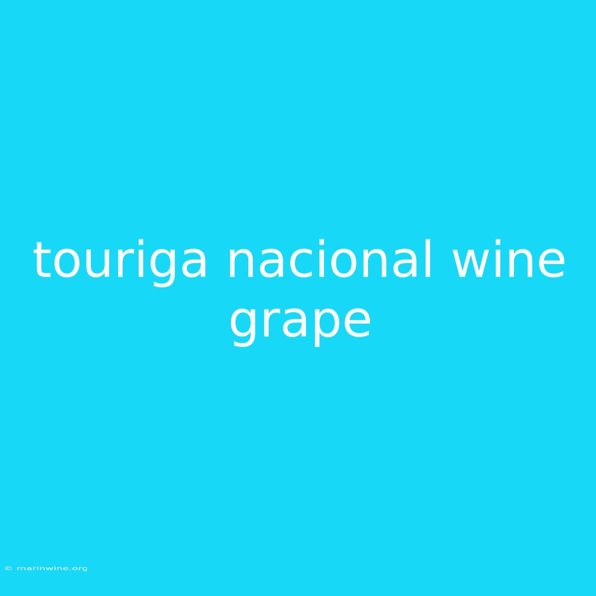 Touriga Nacional Wine Grape