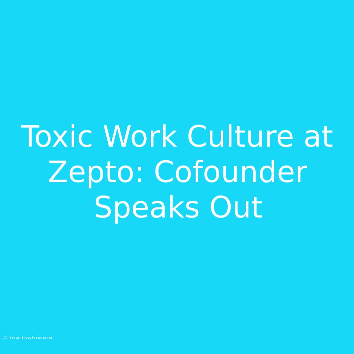 Toxic Work Culture At Zepto: Cofounder Speaks Out