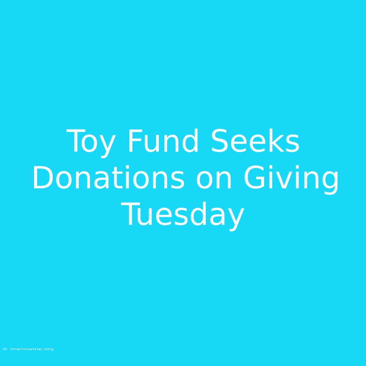 Toy Fund Seeks Donations On Giving Tuesday