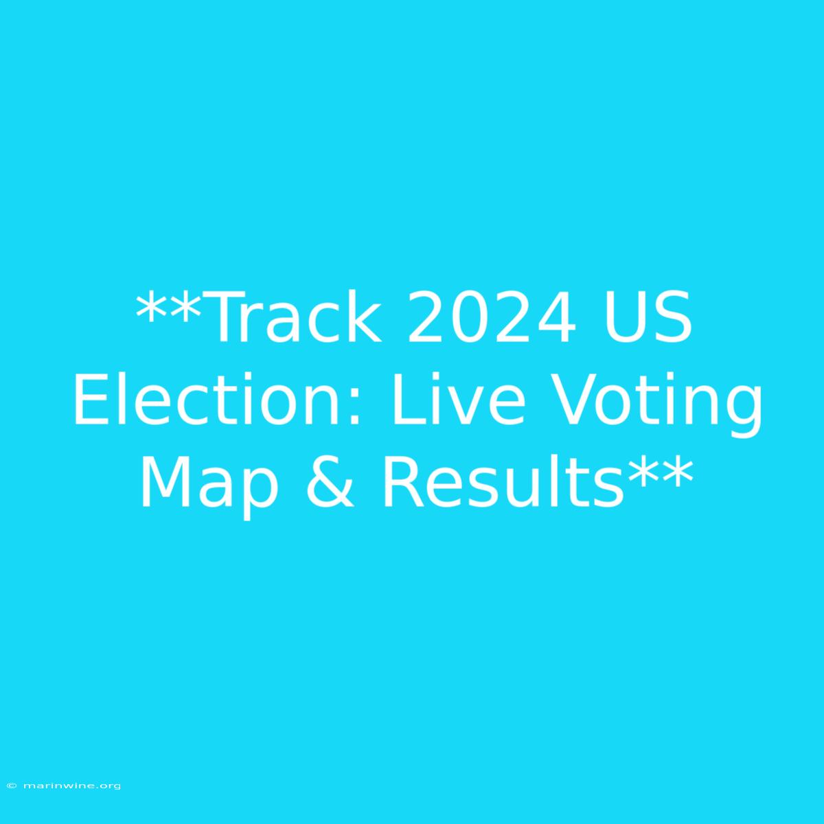 **Track 2024 US Election: Live Voting Map & Results** 