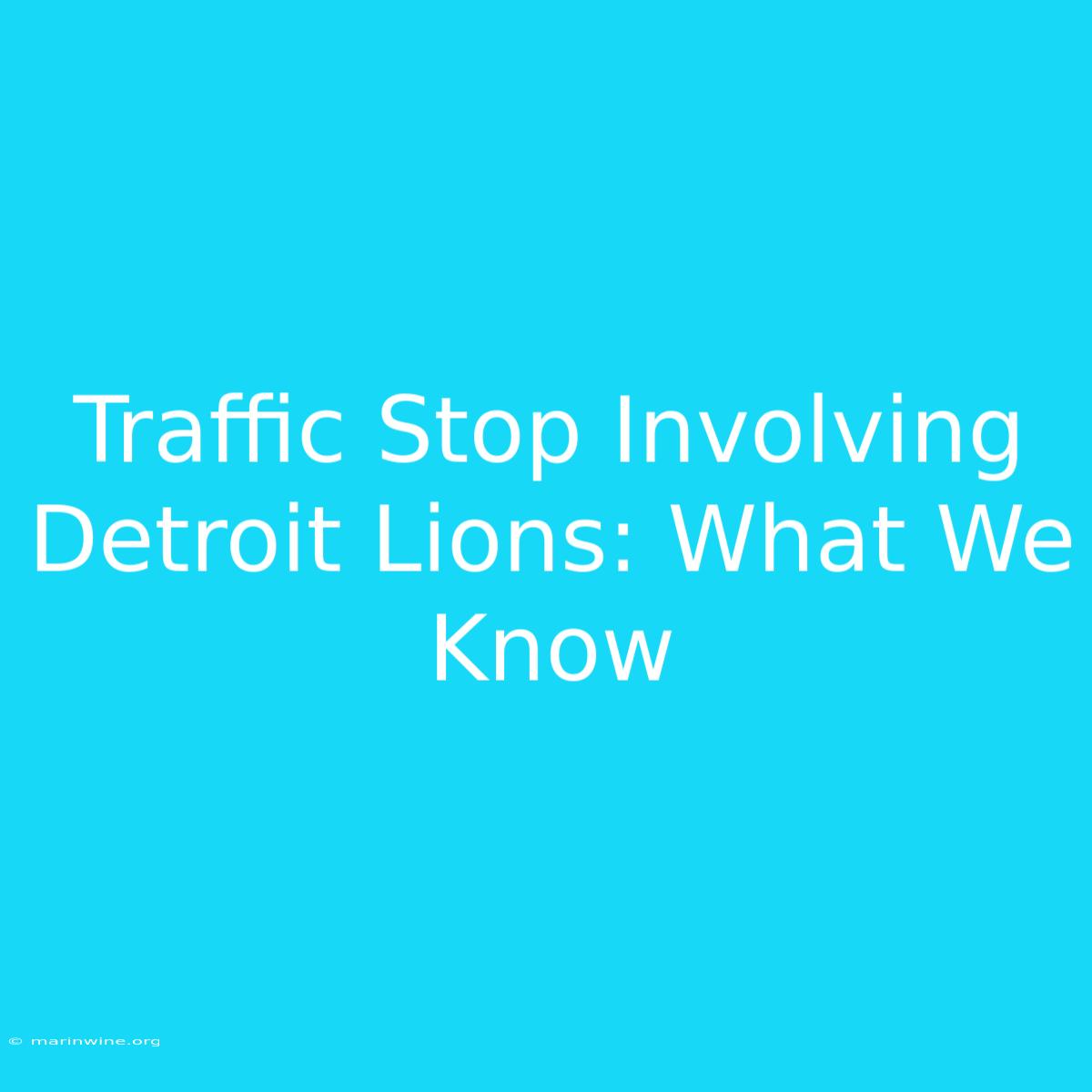 Traffic Stop Involving Detroit Lions: What We Know 