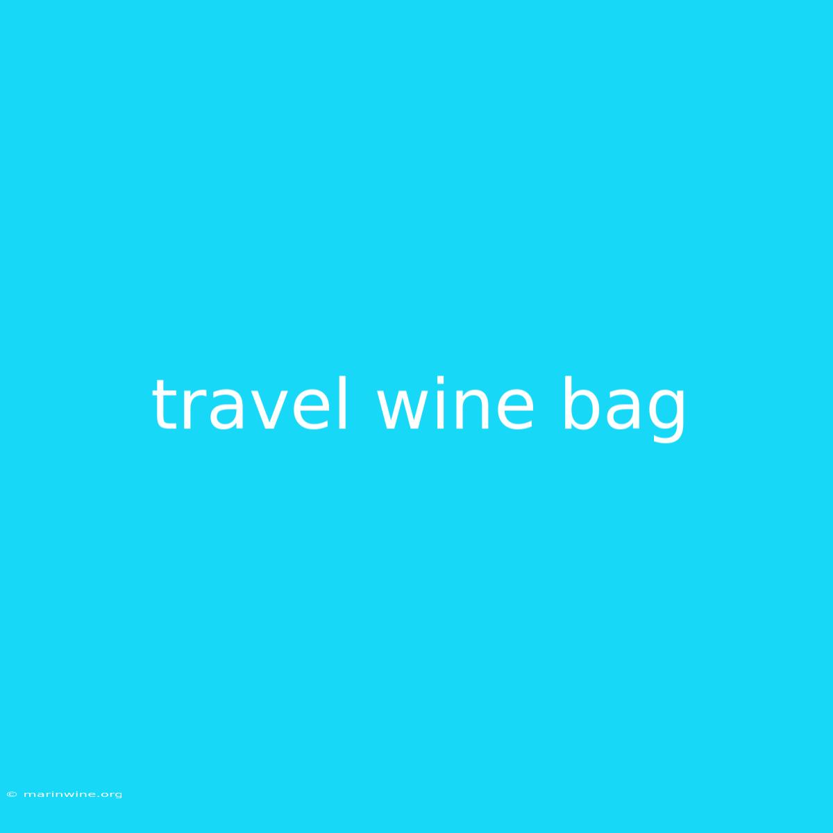 Travel Wine Bag