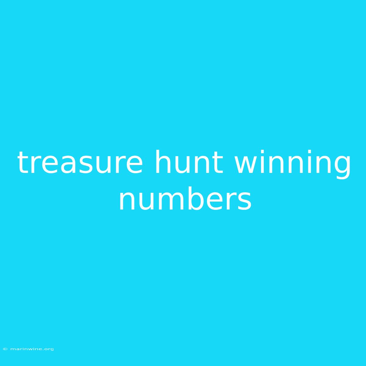 Treasure Hunt Winning Numbers