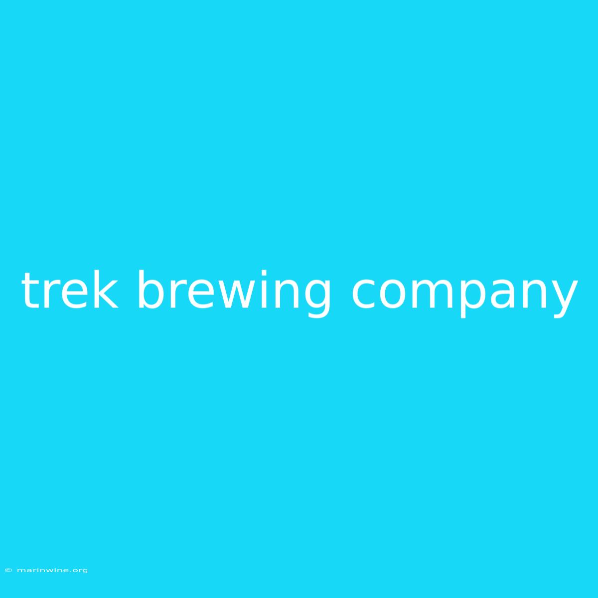 Trek Brewing Company