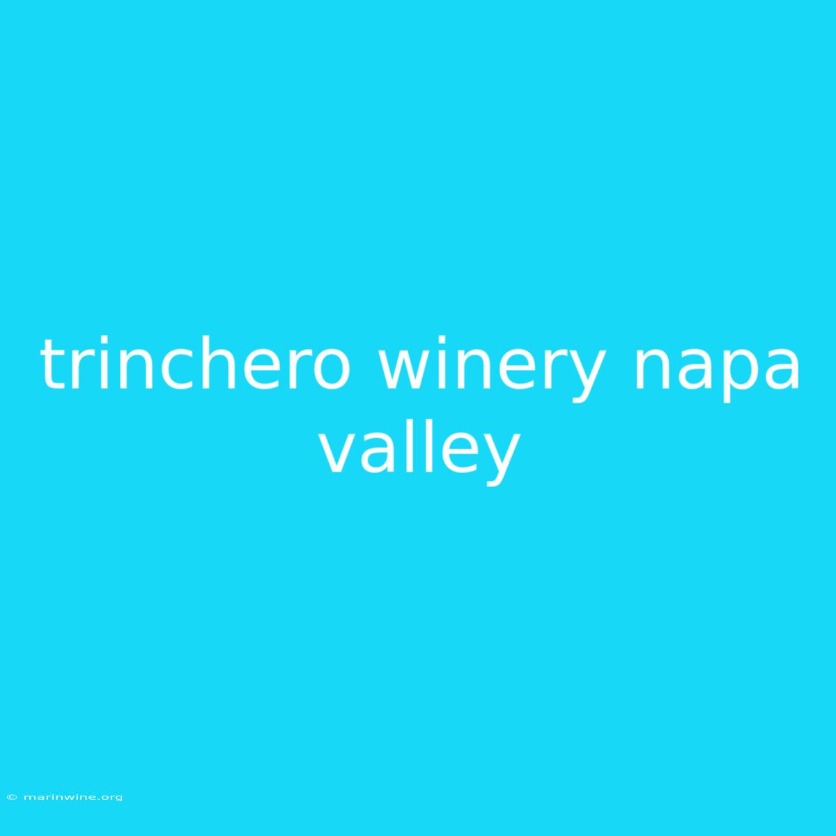 Trinchero Winery Napa Valley