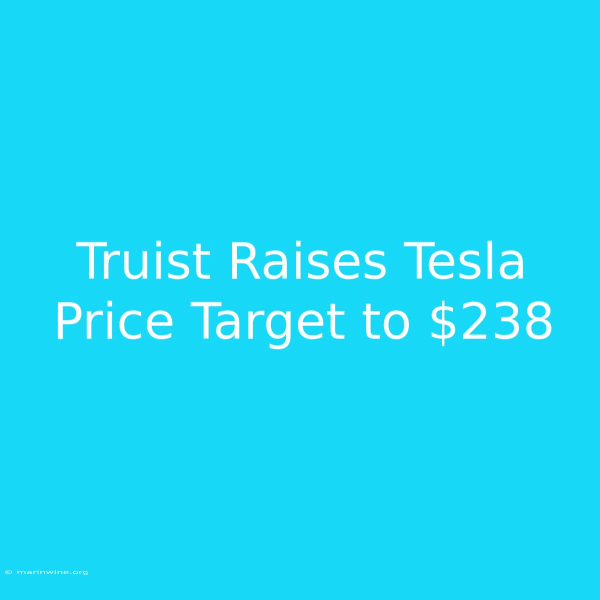 Truist Raises Tesla Price Target To $238